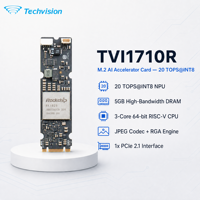 Techvision 1710R RK1828 20 TOPS Modul NPU M.2 Berkinerja Tinggi Kartu Akselerator AI Kompatibel dengan Semua SMARC SOMs Industri