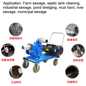 مضخة شفط مياه الصرف الصحي الملاط محركات الديزل والمحركات - Product Image 2