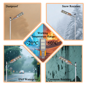 SUYEEGO Factory Price 18w Monocrystalline <strong>Solar</strong> Panel <strong>Outdoor</strong> Ip65 Battery <strong>Solar</strong> Street <strong>Light</strong> - Product Image 3