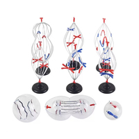 Modelos de Mitosis y Meiosis de Células Animales y Vegetales, Cambios Cromosómicos, Material Didáctico, Instrumentos de Enseñanza de Biología