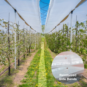 Film agricole renforcé pour le contrôle de la mûrissement des raisins, résistant aux pesticides et à la dégradation solaire - Product Image 1