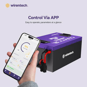 Wirentech 64V 50ah 76V 52ah Lifepo4 Lithium-Ion Batterij Voor Trike 3 Wiel Voertuig Vrachtwagen Passagier Elektrische Driewieler Lading - Product Image 6