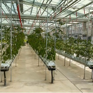 Grande serre agricole multi-chapelles en polycarbonate, galvanisée à chaud, haute résistance, robuste et résistante au vent - Product Image 5