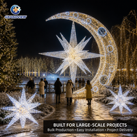 Arche lumineuse 3D géante personnalisée en forme d'étoile pour la rue, motif festif, éclairage extérieur IP65, tunnel lumineux pour projets de parcs urbains