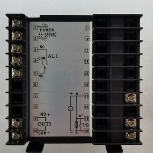 Controlador de Temperatura PAN-GLOBE P909X 240V Modbus Programable - Product Image 2