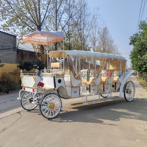 Calèche royale vintage électrique personnalisée à 4 roues avec rideau de pluie, blanche, pour visites touristiques - Product Image 6