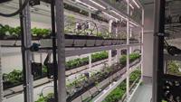 Machine d'irrigation automatisée pour l'agriculture verticale avec un contrôle précis de l'eau