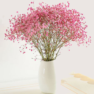 Вечные сохраненные детские цветы, Роскошные Цветные сухоцветы, цветы Гипсофилы - Product Image 2