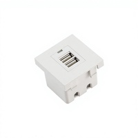 Module de chargeur USB en plastique USB-A USB-C double port certifié CE RoHS pour prise murale, hôtel, panneau de prise domestique