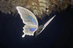 Ouvrez et fermez <span class=keywords><strong>le</strong></span> papillon <span class=keywords><strong>Le</strong></span> papillon avec des lumières déplacera les ailes décoratives - Product Image 5