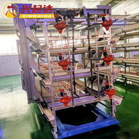 Cage de poule pondeuse d'oeufs/cage d'élevage de poulet/cage de poulet à vendre
