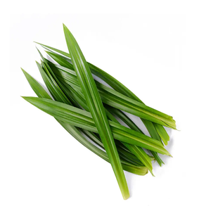 Poudre odorante de <span class=keywords><strong>Pandanus</strong></span> de qualité alimentaire standard GMP de haute qualité Poudre de feuilles de Pandan Amaryllifolius emballée sous vide dans des fûts - Product Image 2