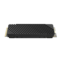 للبيع بالجملة من المصنع محرك أقراص sss داخلي pclefme M.2 gb 1x2x4 مع جهاز تبريد M.2 لأجهزة الكمبيوتر المحمولة المستهدفة