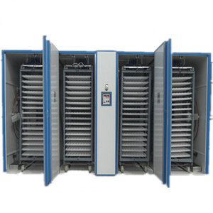 Vịt Ngỗng Gà <span class=keywords><strong>Hatching</strong></span> Máy Hatcher 1000 Trứng Lồng Ấp Hatchery Gà Gia Cầm Trang Trại Thiết Bị Tự Động Lồng Ấp - Product Image 4