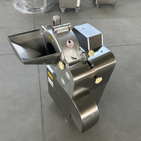 Multifunctionele Automatische Groentefruit Snijmachine Aardappelui Champignon Pitaya Kubus Snijmachine