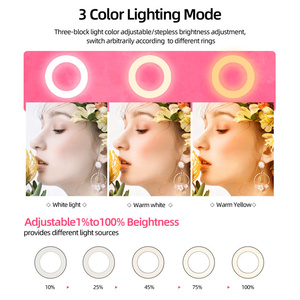Anillo de Luz LED RGB Portátil de 10 Pulgadas con Iluminación de 360 Grados °   Luz de Relleno Ajustable con 10 Niveles de Intensidad y 3 Temperaturas de Color <span class=keywords><strong>para</strong></span> Fotografía - Product Image 6