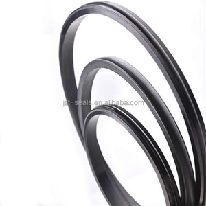 OEM Static <strong>Seal</strong> Casing and Tubing S <strong>Seals</strong> Manufacturer - Product Image 1