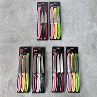 Couteau à steak classique de cuisine à lame dentelée en métal avec manche en plastique, lot de 6 couteaux utilitaires et à éplucher en acier inoxydable