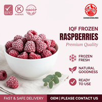 Bulk IQF Diepvries Fruit Diepvries Frambozen Hele A-kwaliteit Exportkwaliteit voor Fabrieken