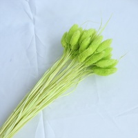 Pierres précieuses naturelles séchées, pièces, plantes colorées, pour la photographie, accessoires de décoration, pour bébé