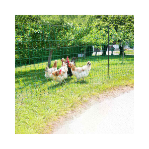 Poultry Chicken <strong>Wire</strong> <strong>Netting</strong> Chicken Net <strong>Plastic</strong> Chicken Fence Nets - Product Image 1