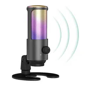 Microphone à condensateur professionnel de jeu, Microphone d'enregistrement vocal de Podcast USB pour Studio