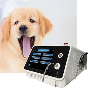 Terapia de mascotas con diodo láser 30W 980nm alivio del dolor Hospital animal recuperación de heridas fisioterapia uso veterinario máquina de tratamiento - Product Image 1