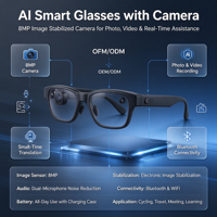 Lunettes Intelligentes IA 800W Pixel Anti-tremblement pour Capture Photo/Vidéo, Reconnaissance d'Objets et Traduction en Temps Réel (OEM/ODM)