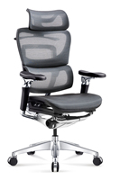 Chaise de bureau ergonomique en maille avec repose-pieds, appui-tête réglable et soutien lombaire, chaise d'ordinateur inclinable, pour l'étude