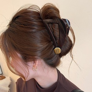 Pinza de Pelo Triangular Simple con Etiqueta Dorada, Pinza de Pelo de Alta Gama para Mujer, Nueva Pinza de Pelo de Alta Gama 2026, Accesorios para el Cabello - Product Image 1