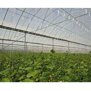 Gancho de alambre de tomate Gancho de tomate de invernadero para verduras de invernadero que crecen en <span class=keywords><strong>casa</strong></span> de jardín de un solo tramo - Product Image 5