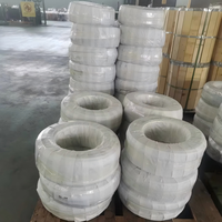 Cable Flexible de Cobre Estañado con Aislamiento de Silicona de Alta Temperatura, IP20 450/750V, para Cableado Industrial de Motores y Hornos, OEM
