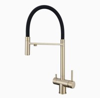 Robinet de cuisine en acier inoxydable doré brossé, minimaliste, à montage sur plan, mitigeur monotrou, avec cartouche céramique, eau chaude et froide