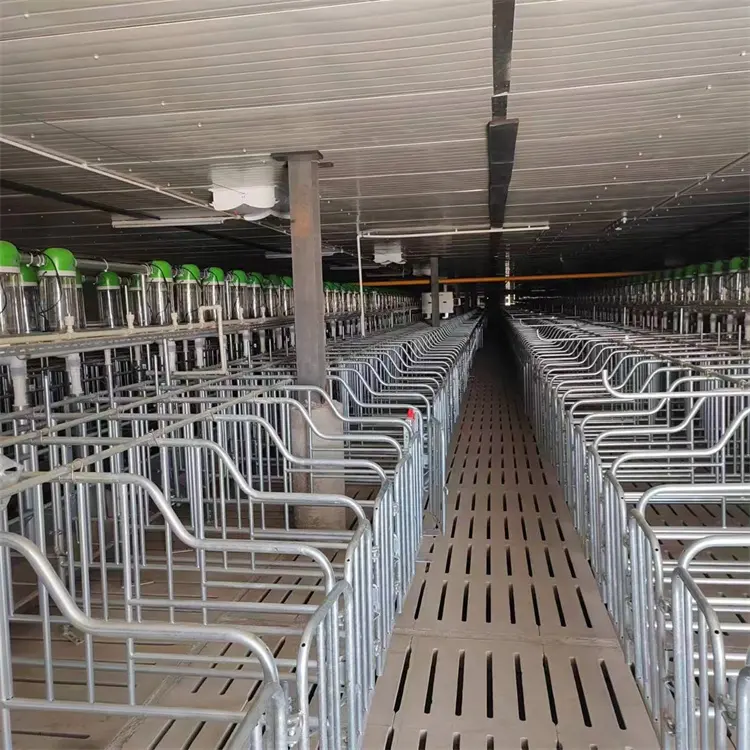 Wholesale By Manufacturer Sow Farrowing Crates Cages Pig Farm Positioning Fence