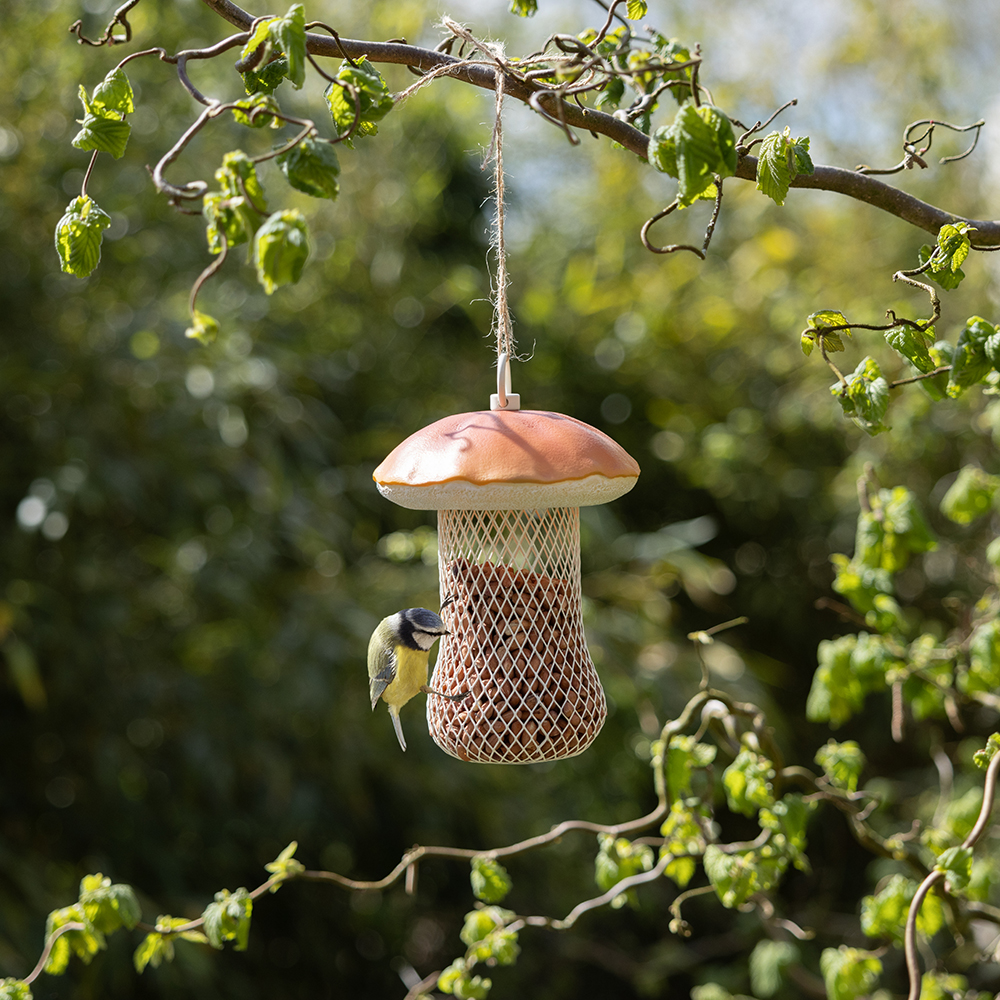 garden bird feeders