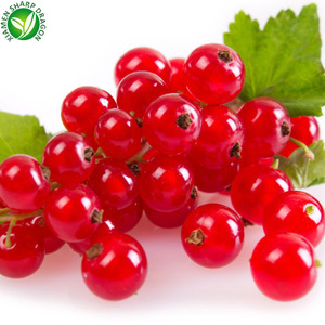 Biologico IQF congelato fresco ribes rosso selvatico bacche all'ingrosso nativo congelamento Blackberry tipo per la coltivazione autoctona - Product Image 4