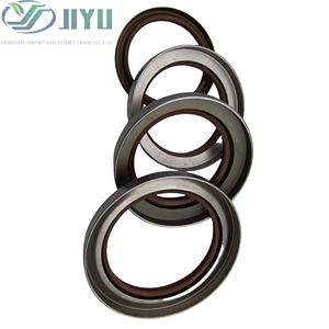 Chine Fabrication TB Iron Shell Oil Seal FKM NBR pour la conception anti-poussière d'équipement de construction - Product Image 3