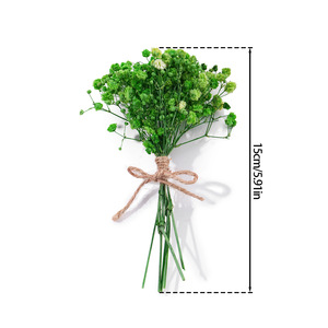 Mini Colorful Dried Baby's Breath Bouquet <b>Diy</b> Craft <b>Kit</b> For Home Decor Wall Art Accessories Yiwu Origin - Product Image 2