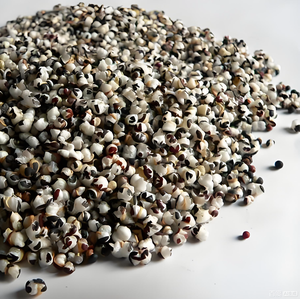 高品質純天然ワッカリア種子エキス粉末10:1王不留行粉末 食品グレード漢方エキス（中国産） - Product Image 3