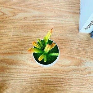 Vasi per Bonsai <span class=keywords><strong>in</strong></span> Plastica Personalizzabili, Ecologici e Durevoli, Fioriere Leggere per Piante Artificiali da Interno, Design Moderno per la Casa e il Nuovo Anno - Product Image 6