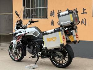 รถจักรยานยนต์เบเนลลี 251 ทัวริ่ง - 250 ซีซี ระบายความร้อนด้วยน้ำ >110 กม./ชม. ความเร็วสูงสุด ขับขี่ราบรื่นสำหรับการเดินทางไกล และเชื่อถือได้ ผลิตในประเทศจีน - Product Image 3