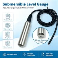 Transmisor de Nivel Hidrostático Sumergible de Acero Inoxidable 316L, Sensor de Nivel de Agua IP68 para Pozos Profundos, Depósitos y Tanques, Personalizable