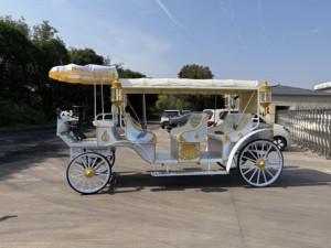 Accesorios de boda de lujo europeo, carruaje de Cenicienta de Metal blanco, carruaje de calabaza de Cenicienta de Princesa Real - Product Image 3