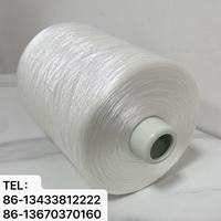 Fourniture directe d'usine 108D/2 420 fil à broder pour ordinateur en polyester torsadé en gros, FDY.