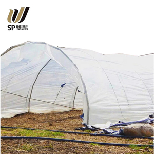 Film <span class=keywords><strong>de</strong></span> <span class=keywords><strong>paillage</strong></span> agricole transparent PE personnalisé Tissu d'ombrage tissé en plastique pour serre agricole - Product Image 5