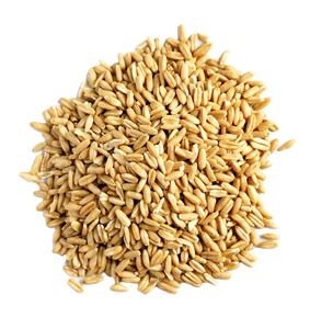 Aliments pour animaux séchés, grains d'avoine - Product Image 1