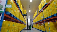 Embalaje al por menor de textura dura personalizable de coco fresco dulce blanco seco al por mayor con certificación ISO HACCP