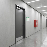 Porte en acier et verre coupe-feu 20-180 minutes, certifiée WH, pour usage commercial intérieur, design minimaliste pour hôpitaux et entrepôts