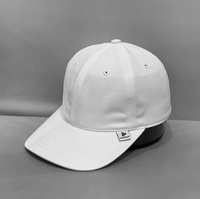 Gorras de Béisbol 100% Algodón, Bordado 3D, Colores Personalizados, Tallas Personalizadas, Unisex, Casuales, para las Cuatro Estaciones, Deportes Diarios, Venta al Por Mayor, Precio Bajo