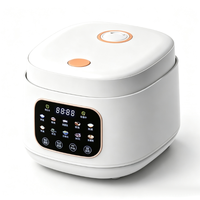 Autocuiseur Électrique Multifonction OEM 110V/220V Cylindrique 3-4L avec Contrôle Numérique par Minuteur, Cuisson Rapide et Système de Maintien au Chaud pour Hôtels et Usage Domestique
